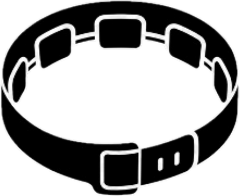 ForceBand logo